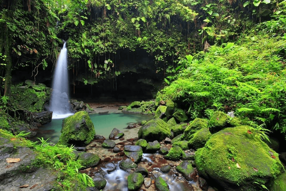 dominica